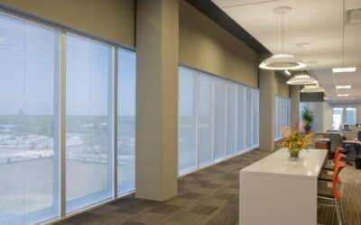 Stylish Blinds that Elevate Fort Collins Homes